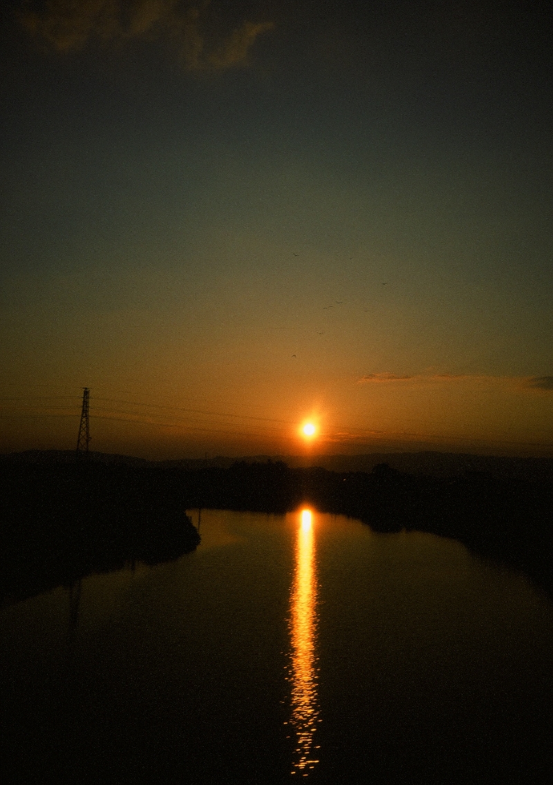 写真19